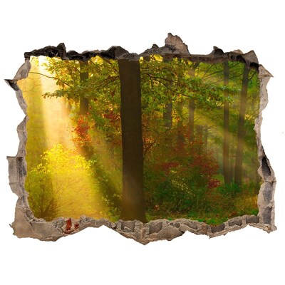 Wandsticker 3D doorkijk Herfstlandschap van het bos