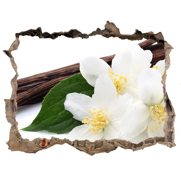 Samoprzylepna dziura na ścianę Kwiaty jaśminu w betonie