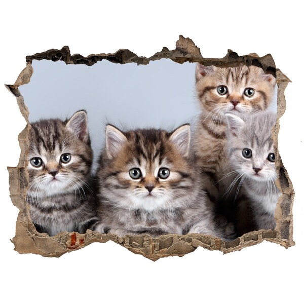 Wandsticker 3D doorkijk Kittens in een gat in de muur