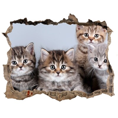 Wandsticker 3D doorkijk Kittens in een gat in de muur