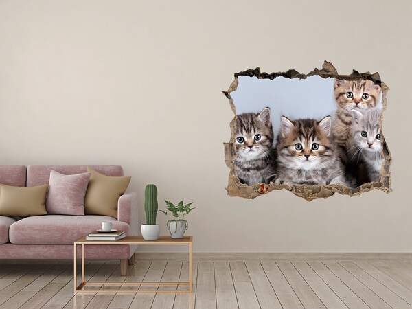 Wandsticker 3D doorkijk Kittens in een gat in de muur