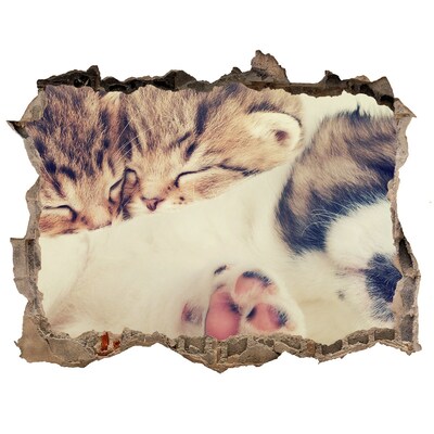 Dziura 3d fototapeta na ścianę Słodkie kociaki w dziurze ściany