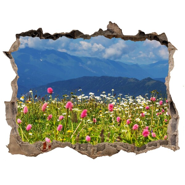 Wandsticker 3D gat met uitzicht Bloemrijk berglandschap