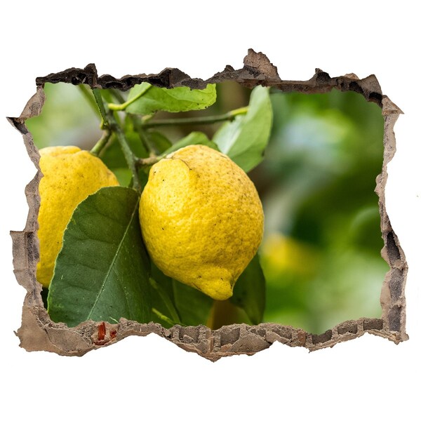 Zelfklevende 3D wandsticker illusie Citroentuin achter de muur