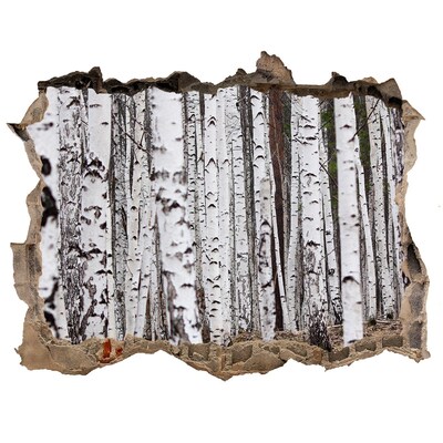 Samoprzylepna dziura naklejka beton Leśna Oaza Białych Brzóz