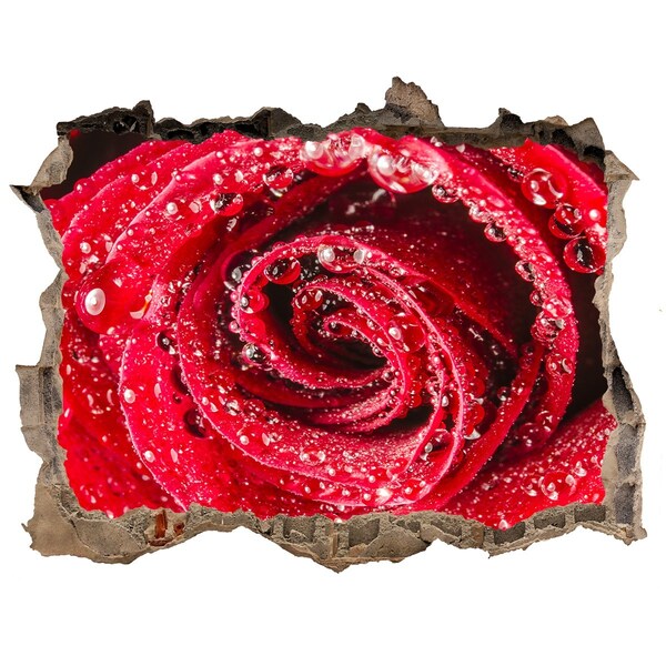 Zelfklevende 3D wandsticker illusie Roos met waterdruppels