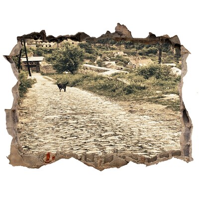 Dziura 3d fototapeta naklejka Urokliwa wiejska droga