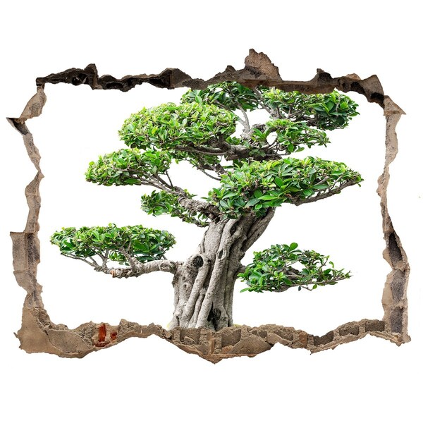 Zelfklevende 3D wandsticker illusie Bonsai in een gat in de muur