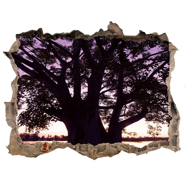 Zelfklevende 3D wandsticker illusie Zonsondergang achter de boom