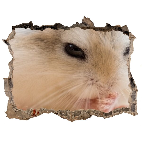 Wandsticker 3D doorkijk Hamster in een gat in de muur