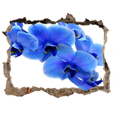 Zelfklevende 3D wandsticker illusie Orchideeën in een gat in de muur