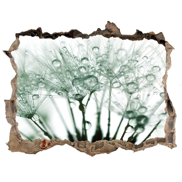 Fotoobraz dziura na ścianę Kwiatowe marzenie za ścianą