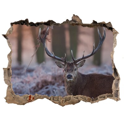 Dziura 3d foto tapeta naklejka Jelenie w lesie