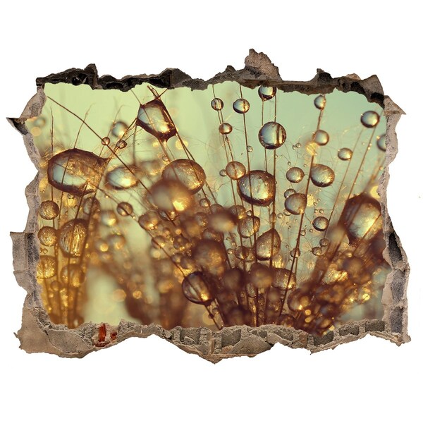 Wandsticker 3D doorkijk Druppels op delicate haartjes
