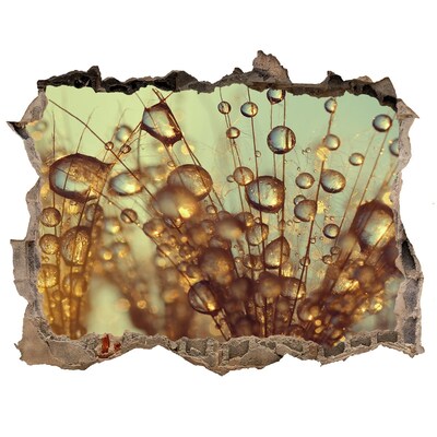 Wandsticker 3D doorkijk Druppels op delicate haartjes