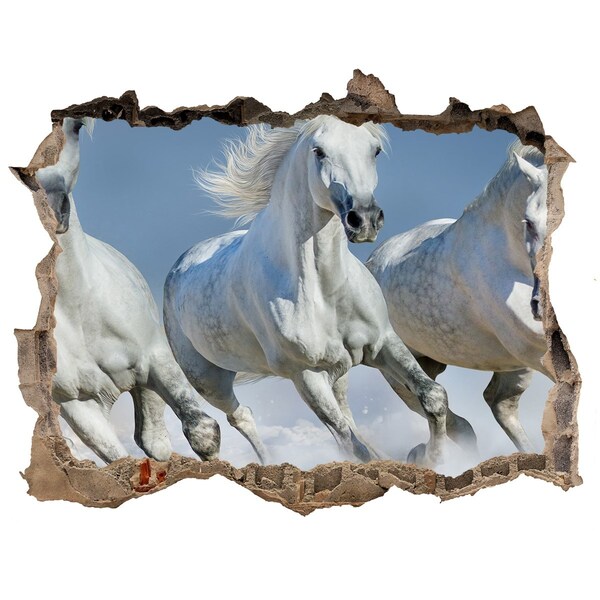 Wandsticker 3D gat met uitzicht Witte paarden loslopend