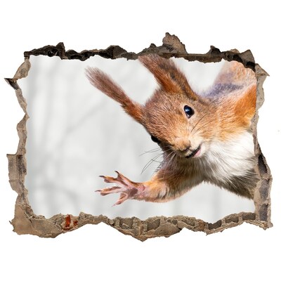 naklejka fototapeta 3D na ścianę Wiewiórka w akcji