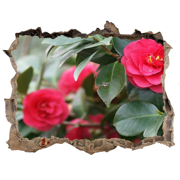 Zelfklevende 3D wandsticker illusie Bloementuin van beton