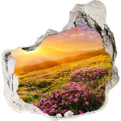 3D wandsticker gat in de muur Berglandschap bij zonsondergang