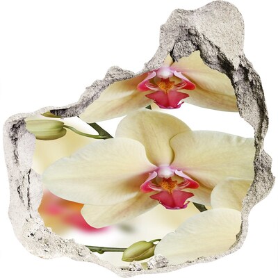 Zelfklevende muursticker 3D gat Orchideeën in een kapotte muur