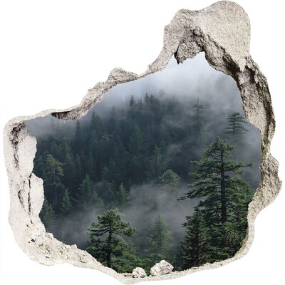3D muursticker effect gat in de muur Groen bos in de wolken