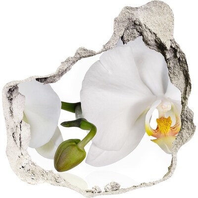3D muursticker effect gat in de muur Orchideeën in beton