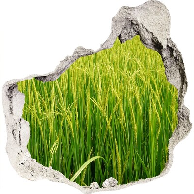 3D wandsticker gat in de muur Groene rijstvelden