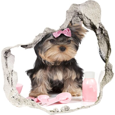 Dziura 3d fototapeta Słodki yorkshire terrier w różowej kokardce