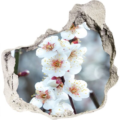 3D muursticker effect gat in de muur Lentebloemen door een gat in de muur