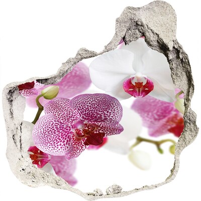 Zelfklevende muursticker 3D gat Een verborgen bloemenoase