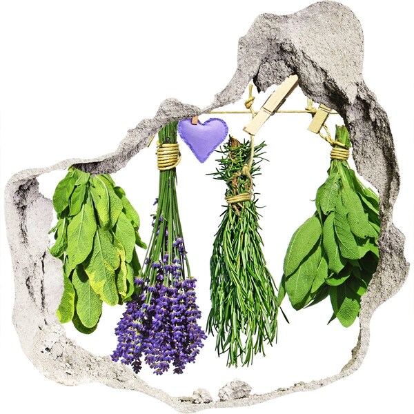 Naklejka 3D dziura samoprzylepna Ziołowy ogród w dziurze w ścianie