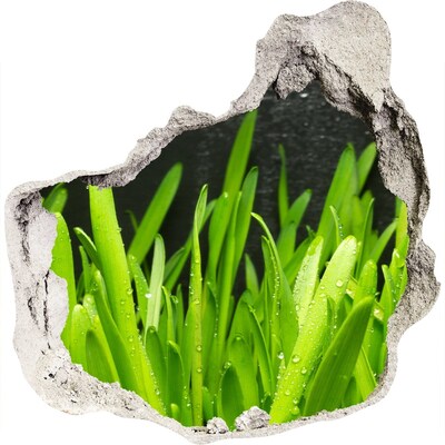3D muursticker effect gat in de muur Groen paradijs achter de muur