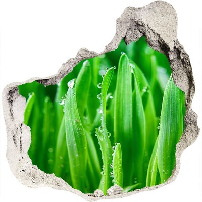 Samoprzylepna naklejka na ścianę fototapeta Zielona łąka z kroplami wody