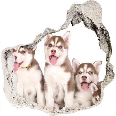 3D wandsticker gat in de muur Huskypuppy's achter een gat in de muur