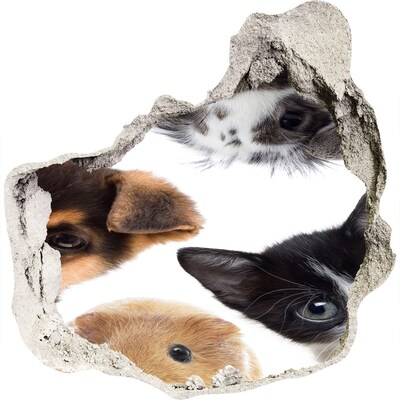 3D wandsticker gat in de muur Dierenvoyeurs