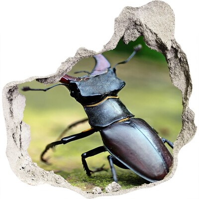 3D muursticker effect gat in de muur Wezen uit het bos