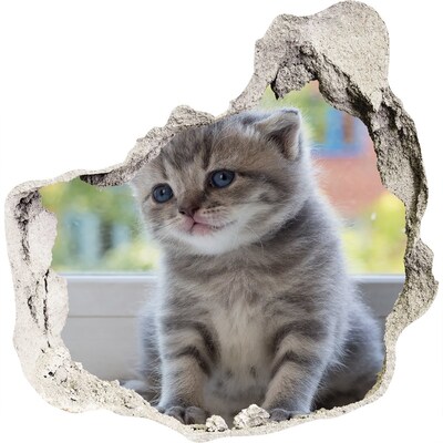 Zelfklevende muursticker 3D gat Kitten in een gat in de muur
