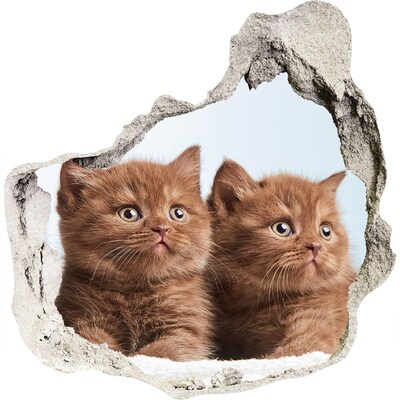 Zelfklevende muursticker 3D gat Kittens achter de muur
