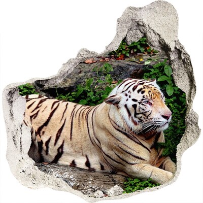 3D muursticker effect gat in de muur Tijger in zijn natuurlijke habitat