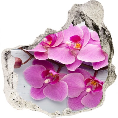Zelfklevende muursticker 3D gat Orchideeën bloeien door een gat in de muur.