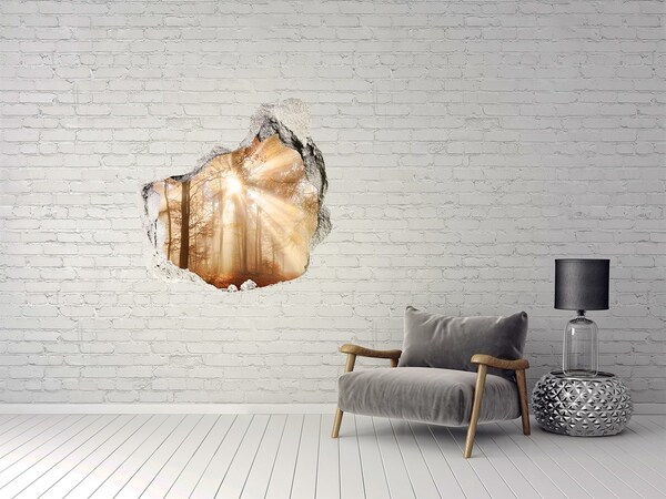 Dziura 3d w ścianie naklejka Leśna Przełęcz Słońca