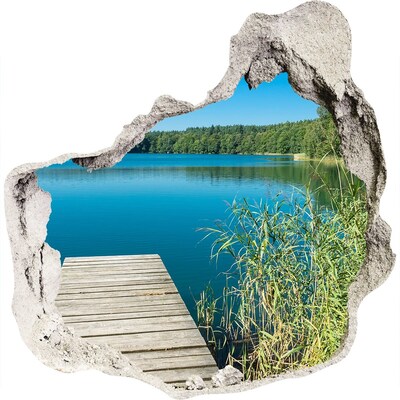 3D wandsticker gat in de muur Meer in het bos