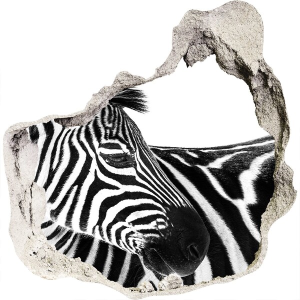 Dziura 3d fototapeta naklejka Zebra w dziurze w ścianie