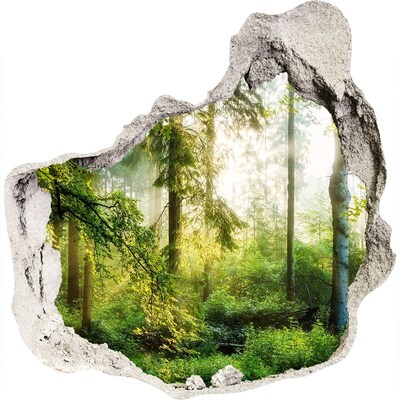3D muursticker effect gat in de muur Een oase van rust in het bos
