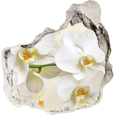 Zelfklevende muursticker 3D gat Orchideeën in beton