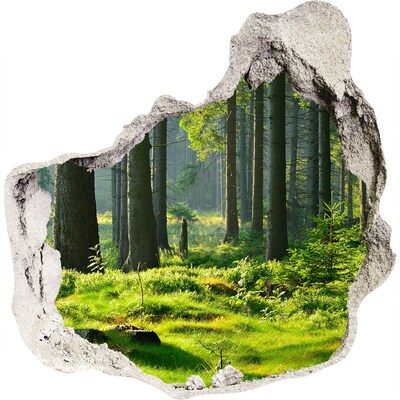 3D muursticker effect gat in de muur Groen bos in de zonnestralen