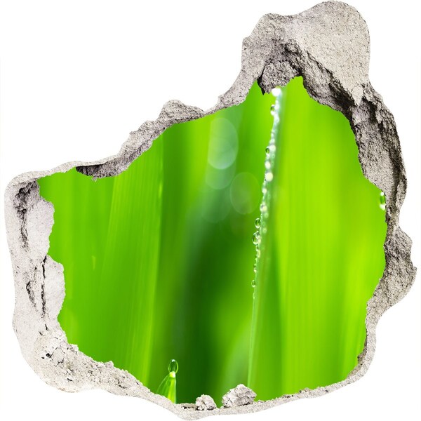 Samoprzylepna naklejka fototapeta Zielona łąka z kroplami wody