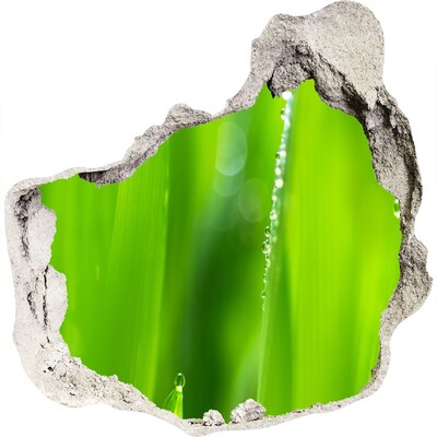 Zelfklevende muursticker 3D gat Groene weide met waterdruppels