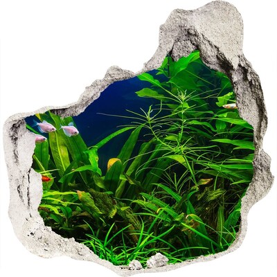 3D wandsticker gat in de muur De onderwaterwereld in het aquarium