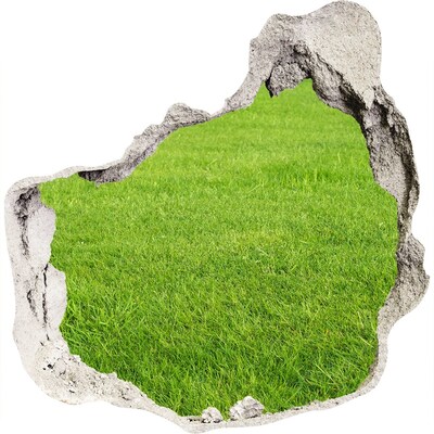 3D wandsticker gat in de muur Groene weide door een gat in de muur
